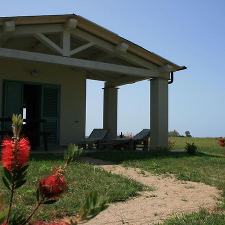 Agriturismo podere 678 Grosseto Exterior foto