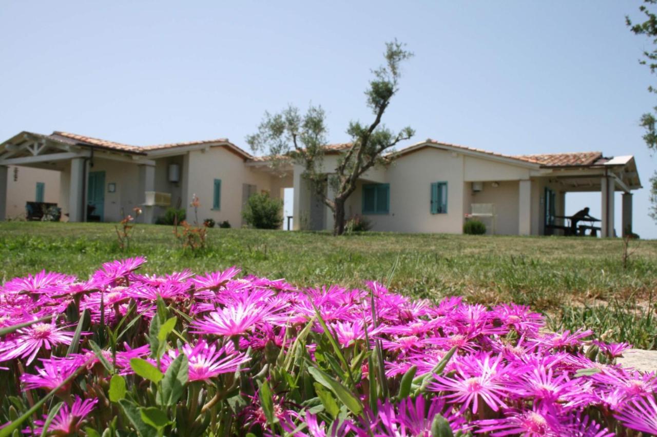Agriturismo podere 678 Grosseto Exterior foto